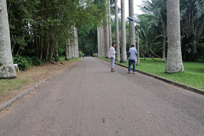 The Botanical Gardens and Water Falls Experience - Private Tour - What to pack for a comfy garden and waterfall day