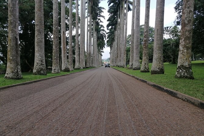 The Botanical Gardens and Water Falls Experience - Private Tour - Getting the value for $222.15 per person