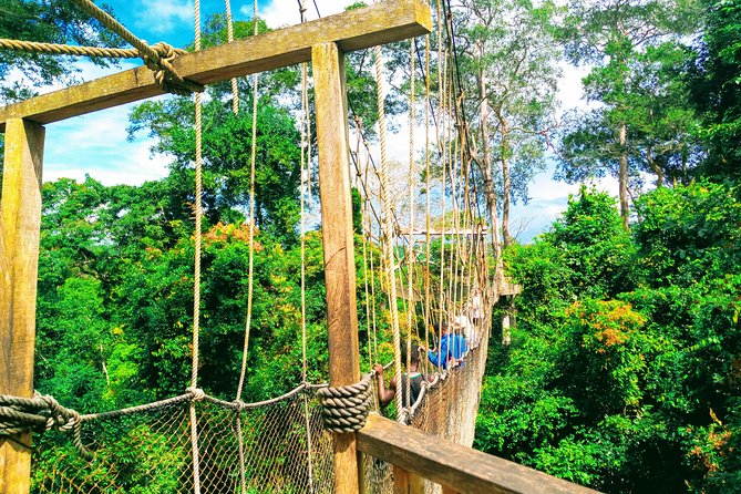The Cape Coast Tour - Kakum National Park: the canopy walkway at 40 to 50 meters
