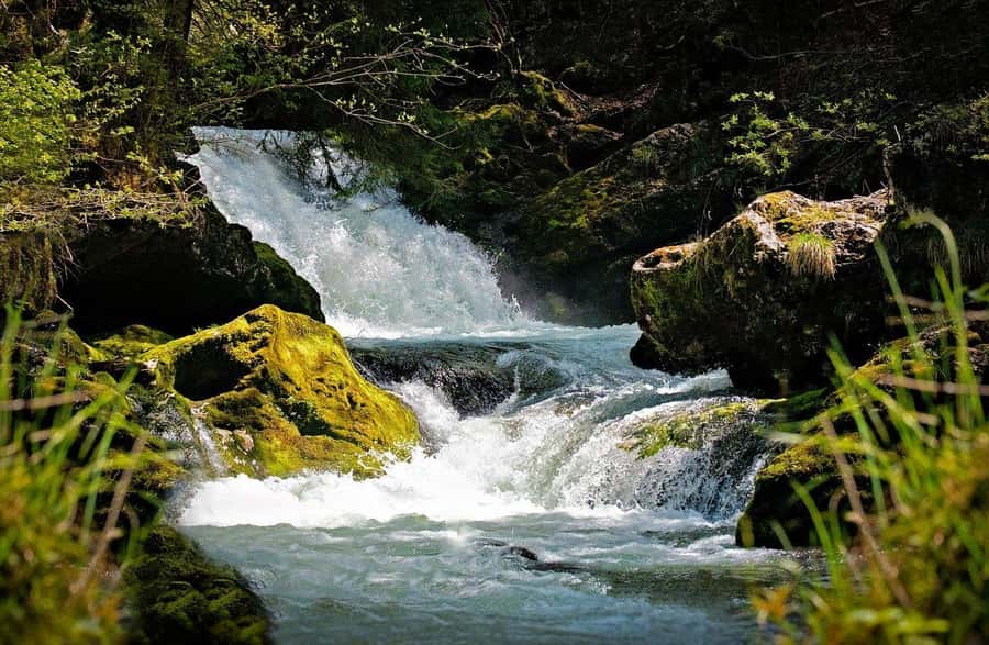 Visit Aburi Garden, Tetteh Quarshie Cocoa Farm & Waterfall - A one-day sampler of Ghana: Aburi, cocoa, and Asenema Falls