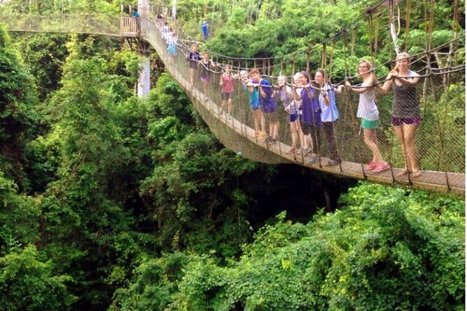 Volta Region 3 Days 2 nights Nature Private Tour - Day 2 Wli Waterfalls: choose your hike, then earn the swim